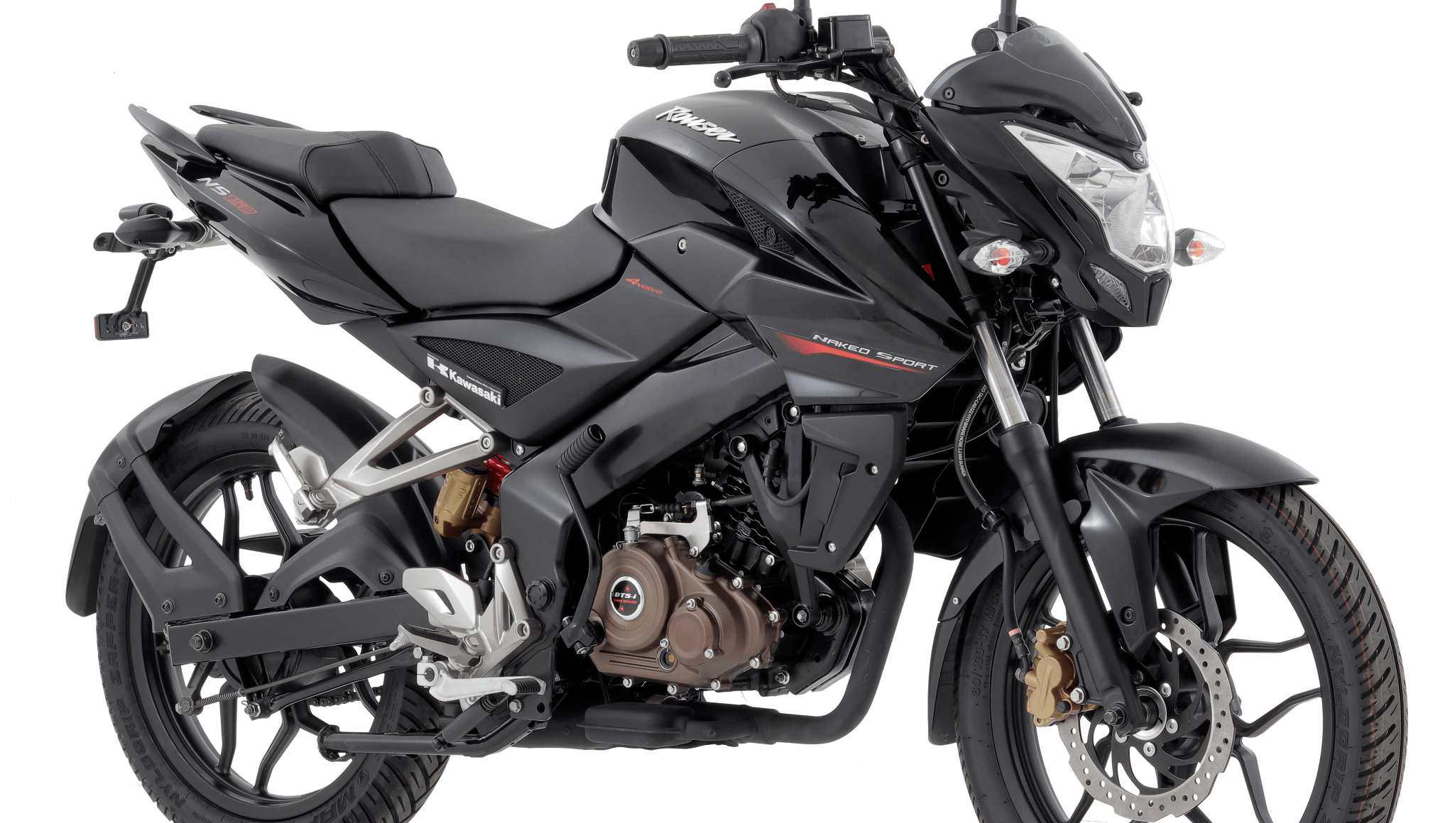 Kawasaki Rouser NS150 Motortech.ph